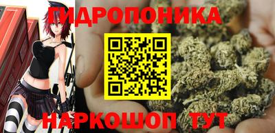 синтетический гашиш Кингисепп