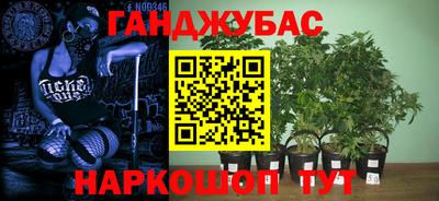 синтетический гашиш Кингисепп